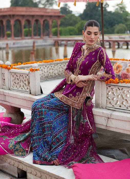Alizeh Mehndi Aubergine Short Shirt And Dhaakha