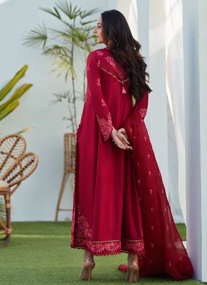 Dion Scarlett Paneled Shirt And Dupatta