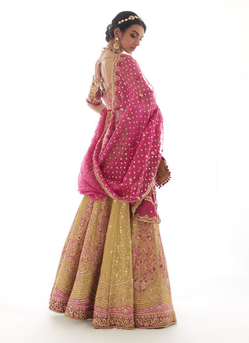 Keierra Rajasthani Lengha choli