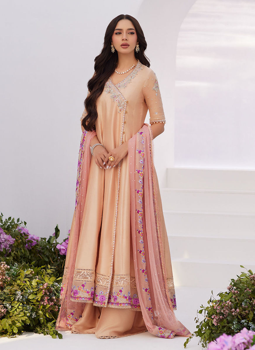 Lisette Fawn Embellished Raw Silk Angarkha And Dupatta