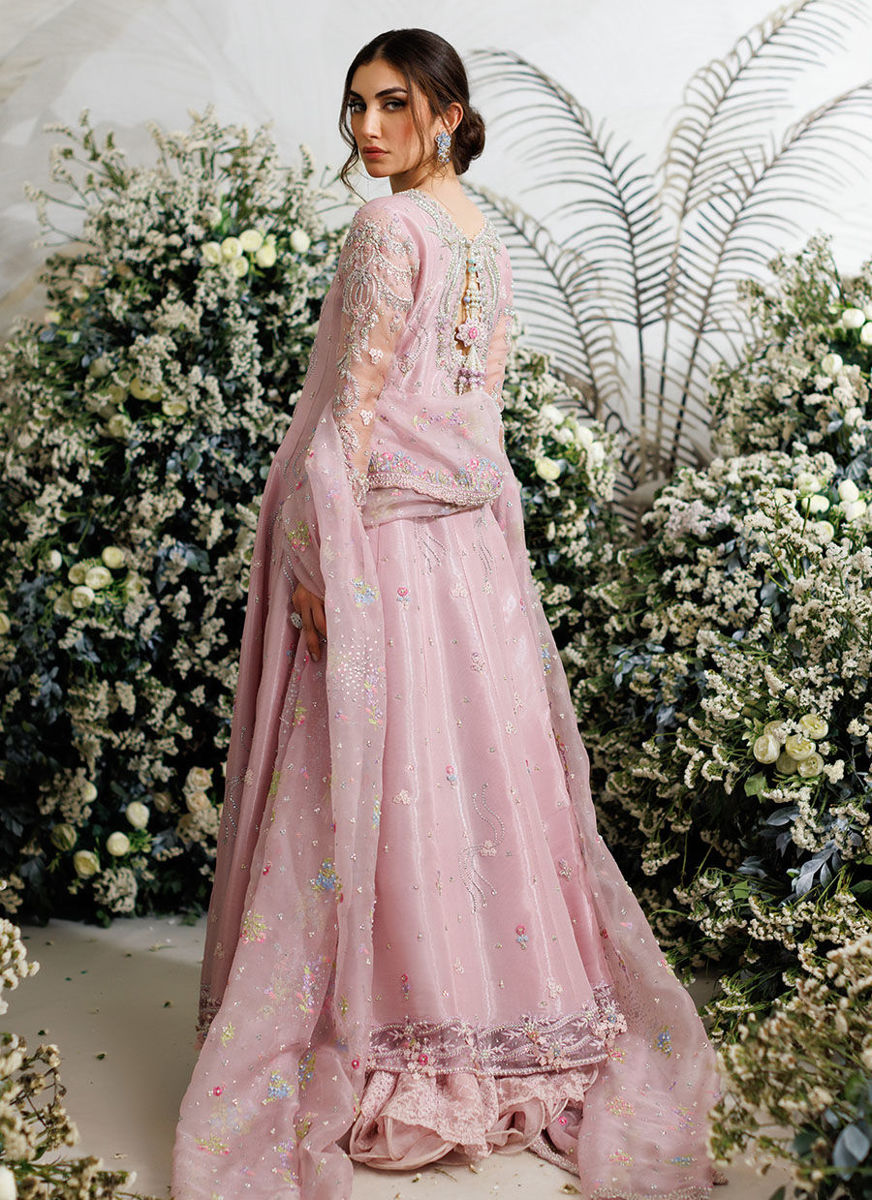 Celestine Blush Kalidaar