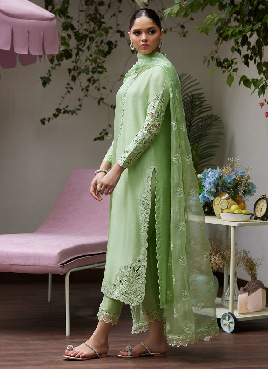 Katya Apple Green Cutwork Raw Silk Shirt With Organza Dupatta