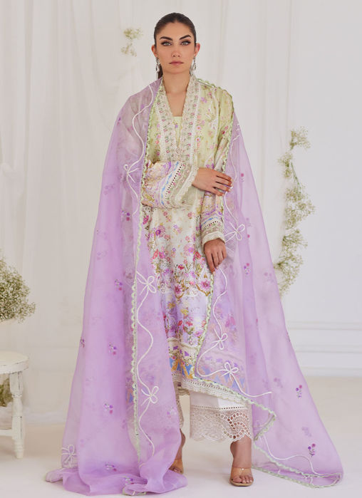 Renata Embroidered Organza Dupatta