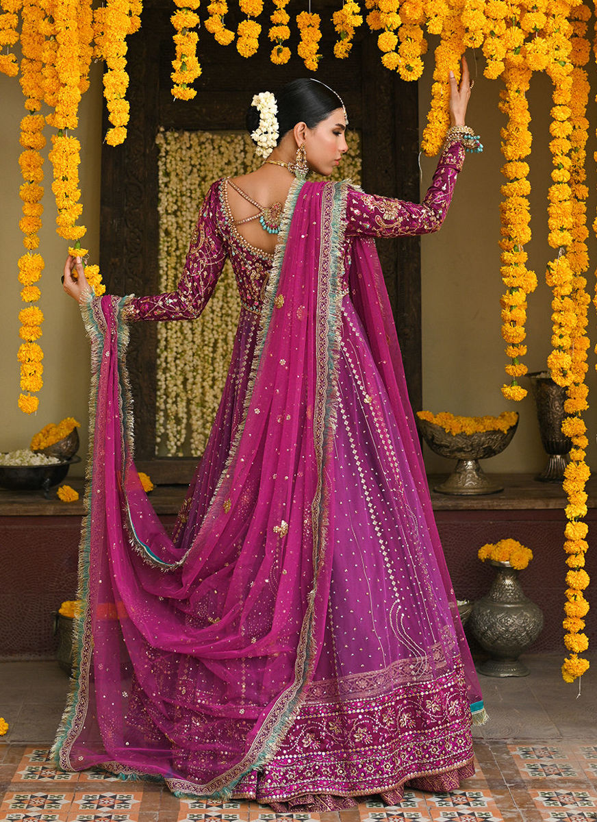 Donna Orchid Purple Kalidaar