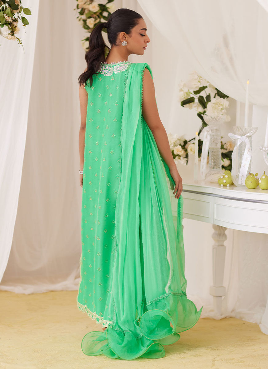 Toucan Shirt And Dupatta