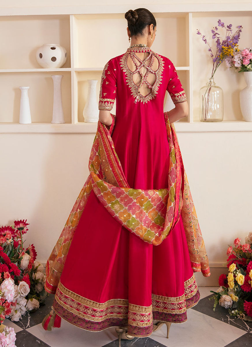 Sitya Kalidaar -  Printed Organza Dupatta Only