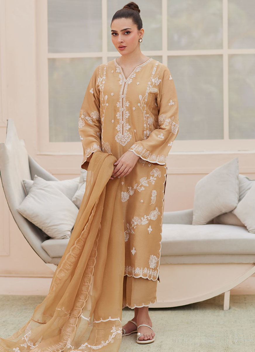 Bea Taupe Silk Shirt And Dupatta