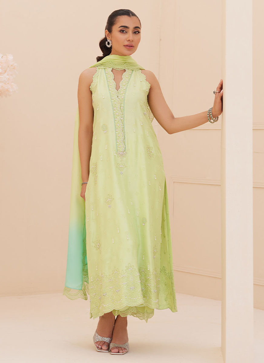 Pia Embroidered Raw Silk Shirt And Dupatta