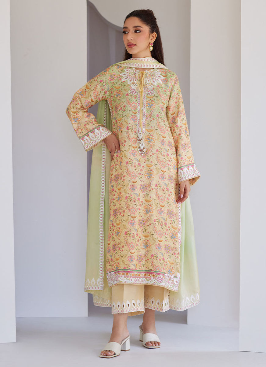 Leora Ombre Shirt And Dupatta