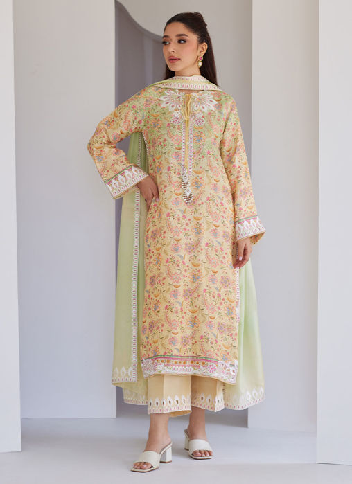 Picture of Leora Ombre Shirt And Dupatta