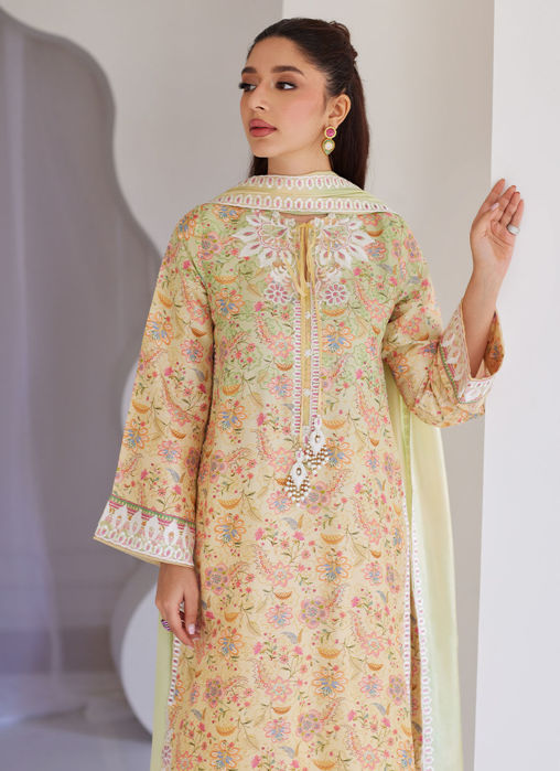 Leora Ombre Shirt And Dupatta