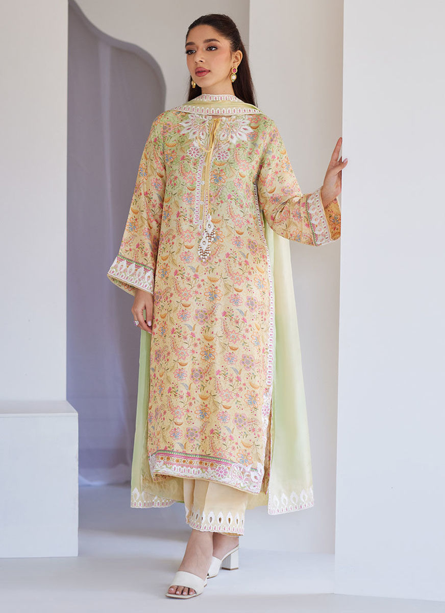 Leora Ombre Shirt And Dupatta