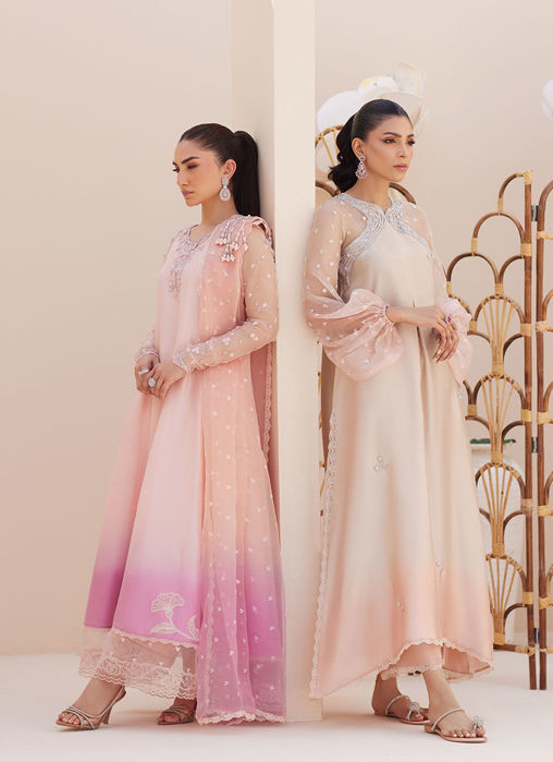 Deedee Pink Ombre Paneled Shirt Dupatta And Pants