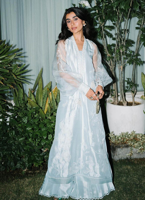 Reina Ebony Shirt And Dupatta