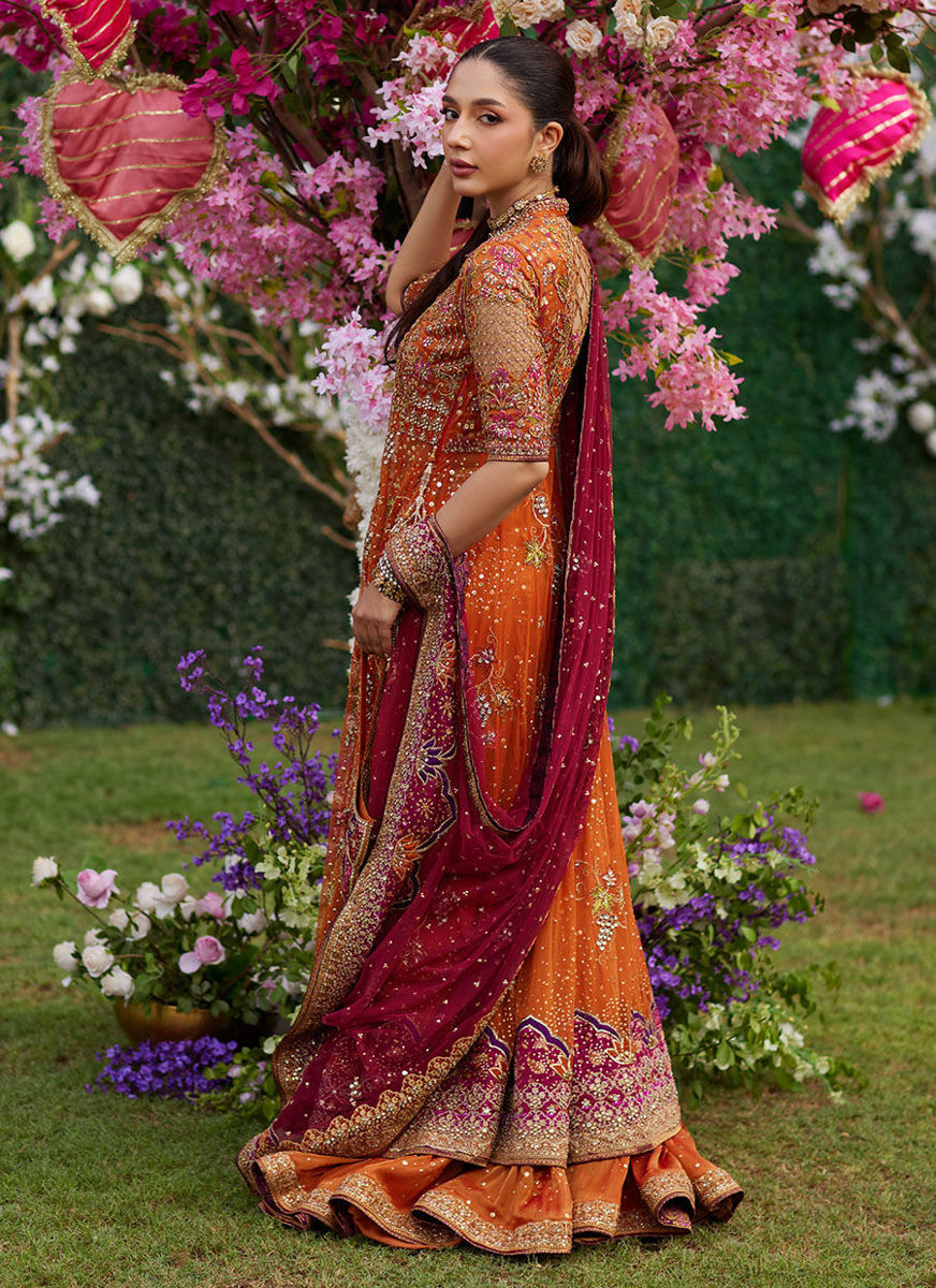 Mireya Burnt Orange Kalidaar