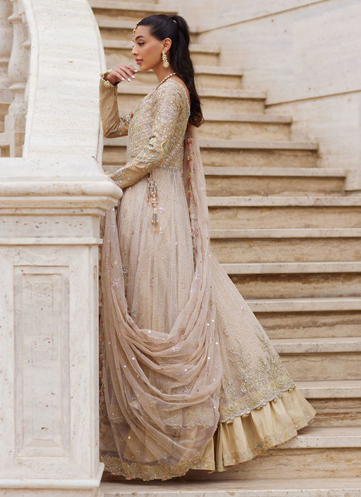 Sitara Champagne Kalidaar