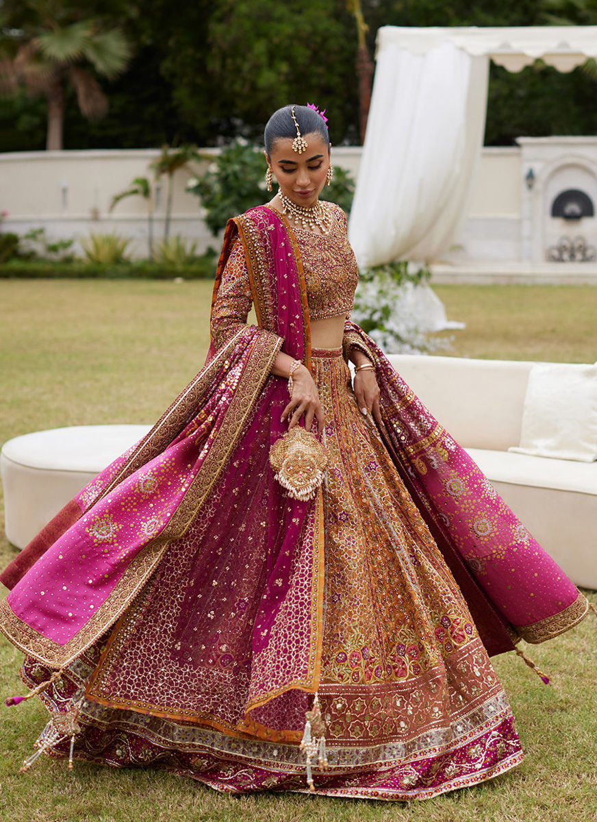 Raina Rust Lehnga Choli