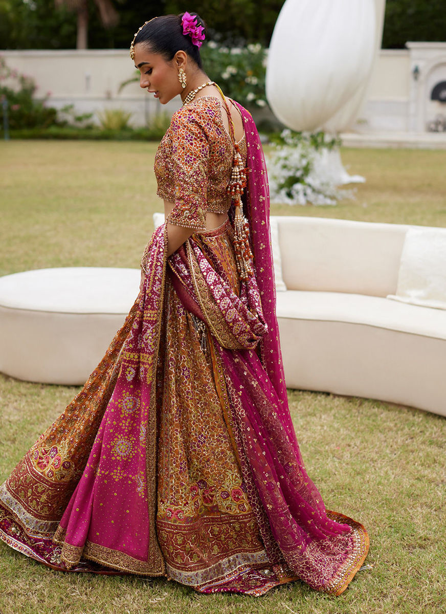 Raina Rust Lehnga Choli