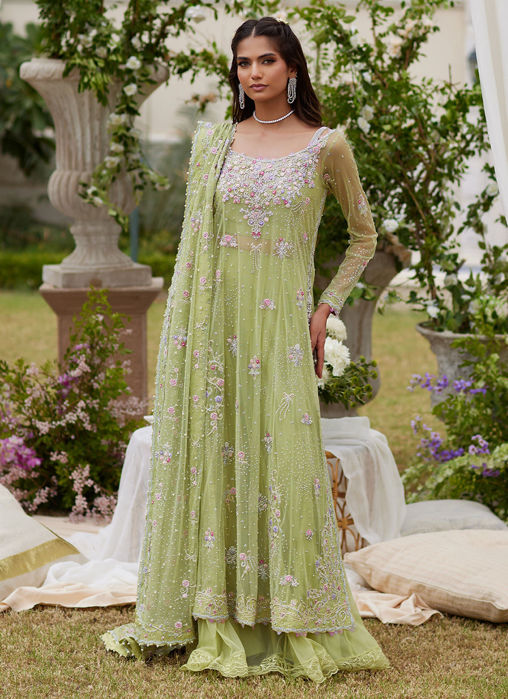 Picture of Elira Kiwi Ensemble